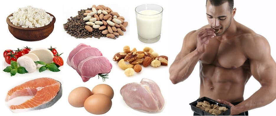 Liste des aliments pour bien nourrir les muscles