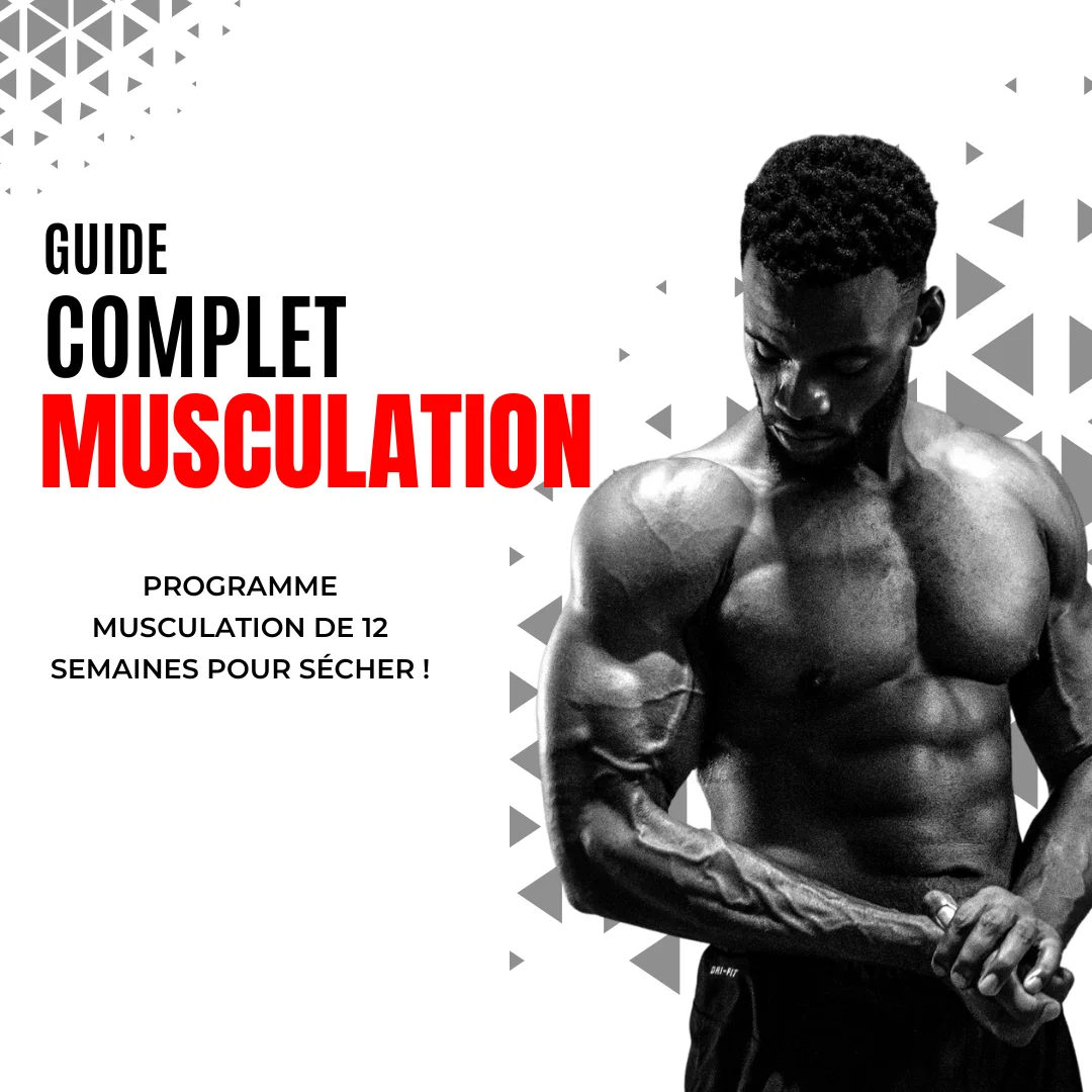 Programme musculation 4 jours par semaine