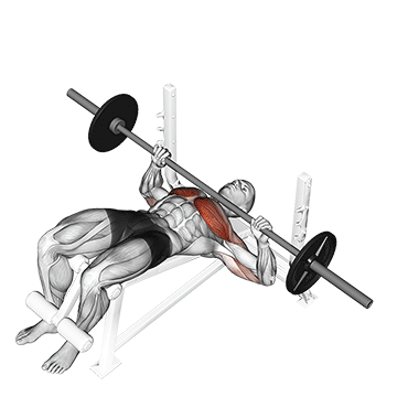 Développé Couché (bench press) : Comment exécuter cet exercice Développé décliné à la barre