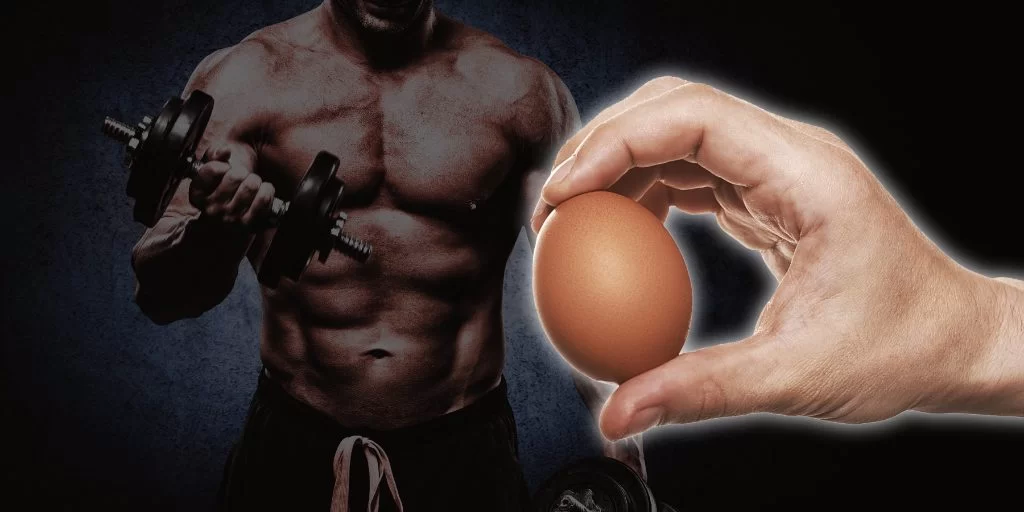 Pourquoi les sportifs mangent-ils des œufs crus ?