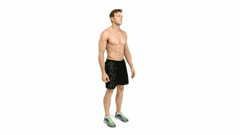 Les étirements en musculation : Exercices et astuces Les étirements en musculation