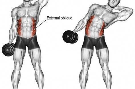 Exercices obliques musculation
