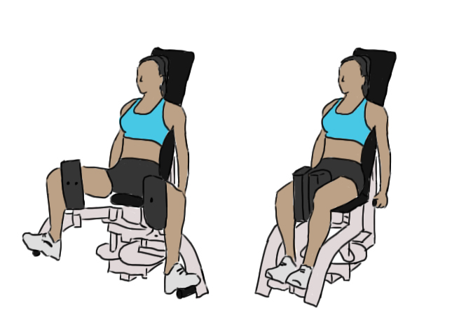 Quel est le meilleur exercices adducteurs musculation ? Machine pour adducteurs