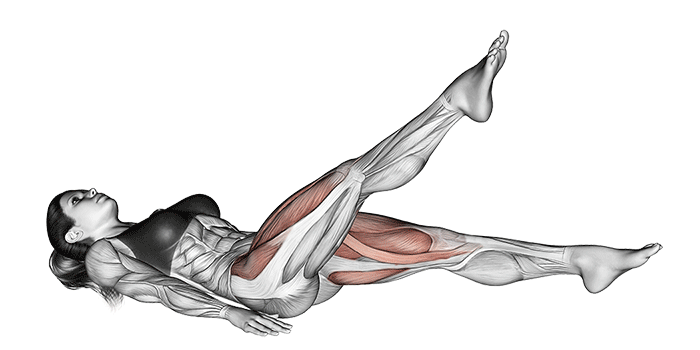 Quel est le meilleur exercices adducteurs musculation ? Meilleurs exercices adducteurs musculation