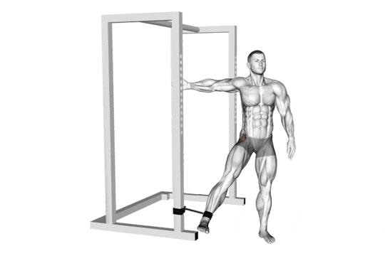 Quel est le meilleur exercices adducteurs musculation ? Quel est le meilleur exercices adducteurs musculation ?