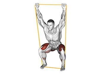 Muscler les cuisses femme : Le guide complet Travailler les quadriceps avec un élastique