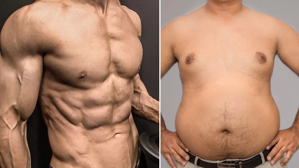 perdre la graisse des pectoraux