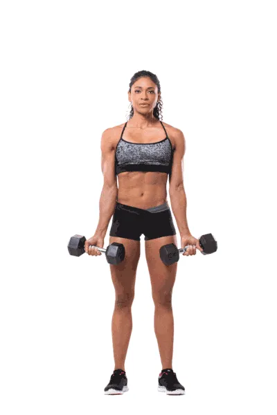 Se muscler les bras rapidement femme | Les meilleurs exercices Curl haltère supination