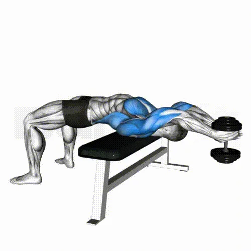 Exercice Pullover pour se muscler le dos