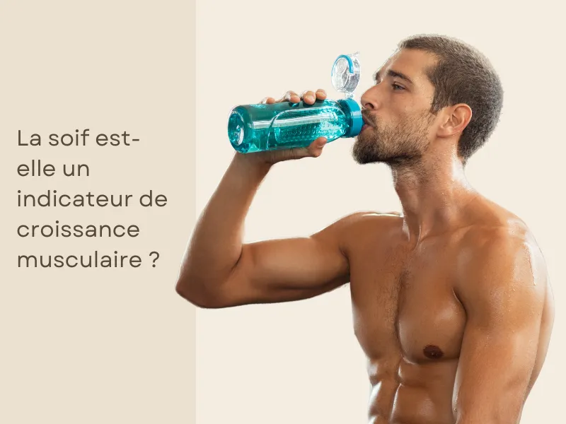 Soif et musculation : La soif est-elle un indicateur de croissance musculaire ?