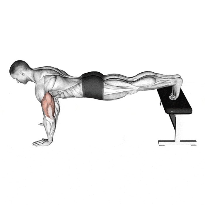 Pompes pectoraux : 5 exercices et variantes de pompes efficaces Pompes déclinées