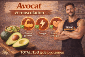 avocat et musculation