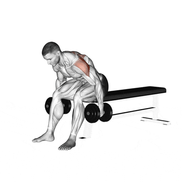 Top 5 Exercices pour se muscler le dos sans matériel Exercice dos oiseau
