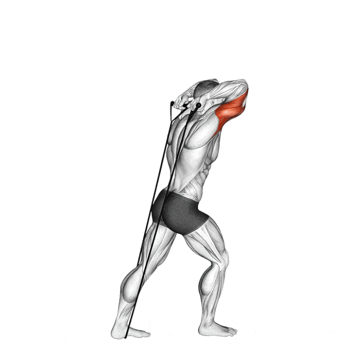 6 meilleurs exercices avec élastique Extension triceps avec élastique