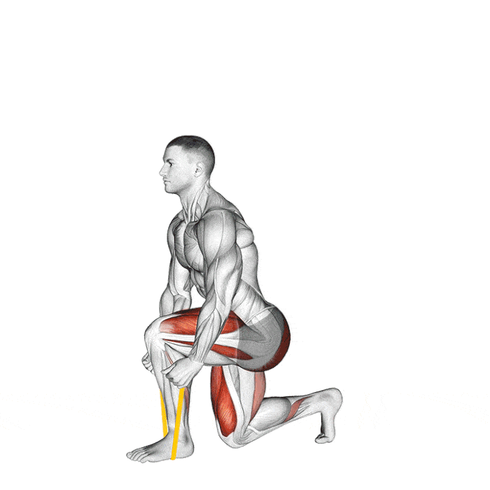 6 meilleurs exercices avec élastique Fentes avec Élastique