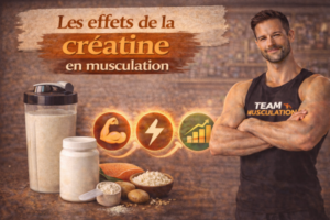 Les effets de la créatine en musculation